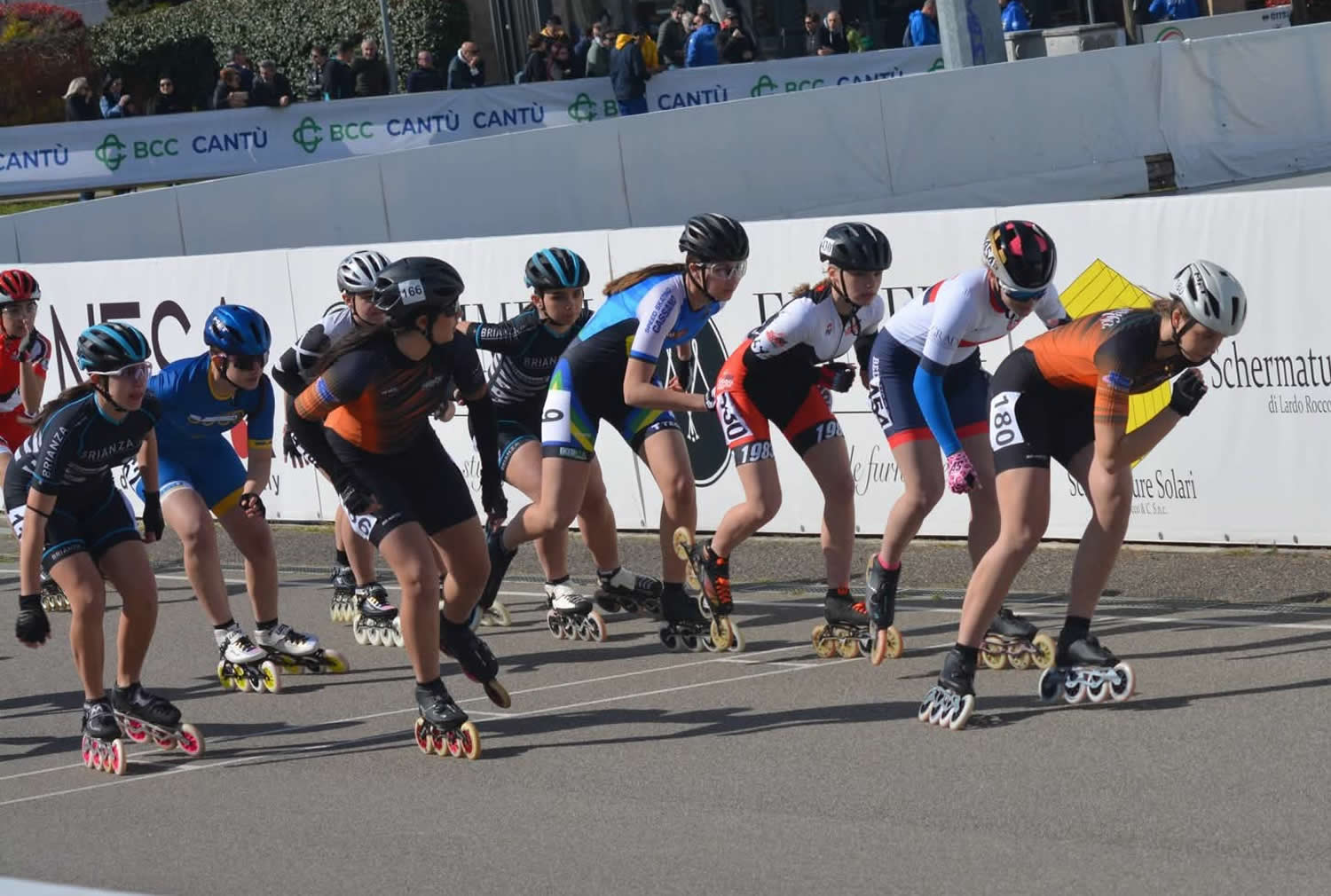 RotellisticaRosedaAprile4.jpg (166 KB)