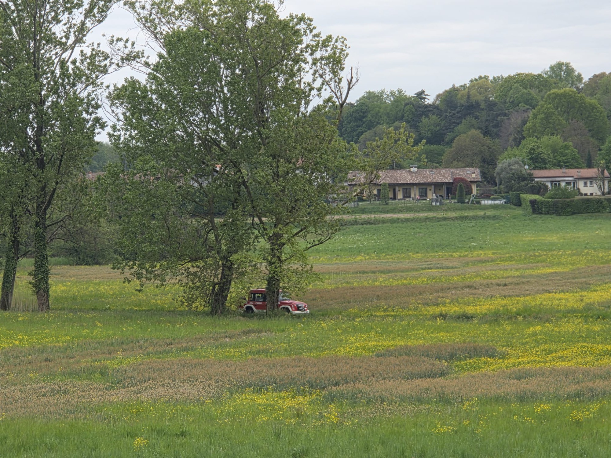 SartiranaInterventoApi2.jpg (841 KB)