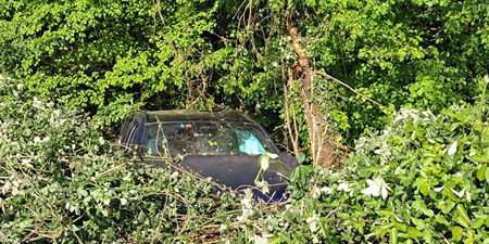 crandolaauto3pr.jpg (111 KB)