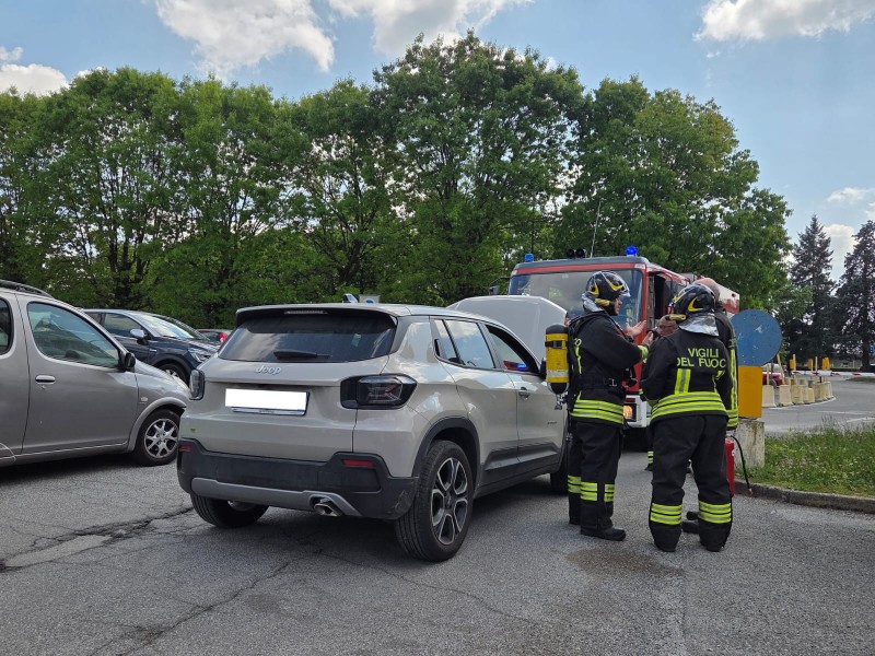 vvf_mandic.jpeg (167 KB)