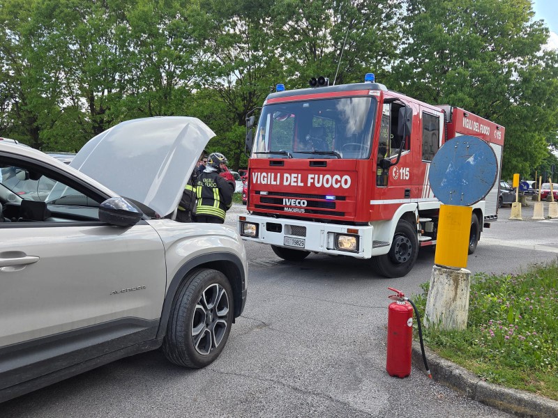 vvf_mandic2.jpeg (188 KB)