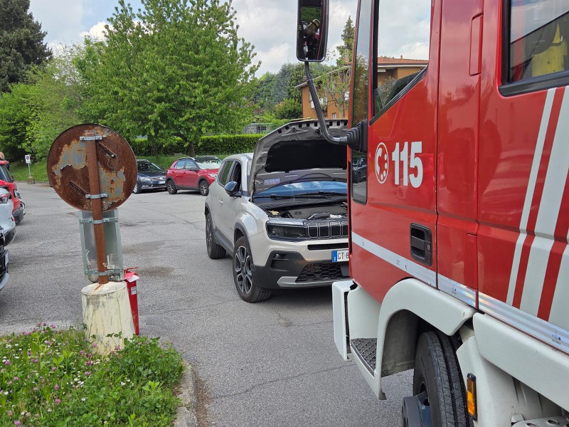 vvf_mandic3.jpeg (167 KB)