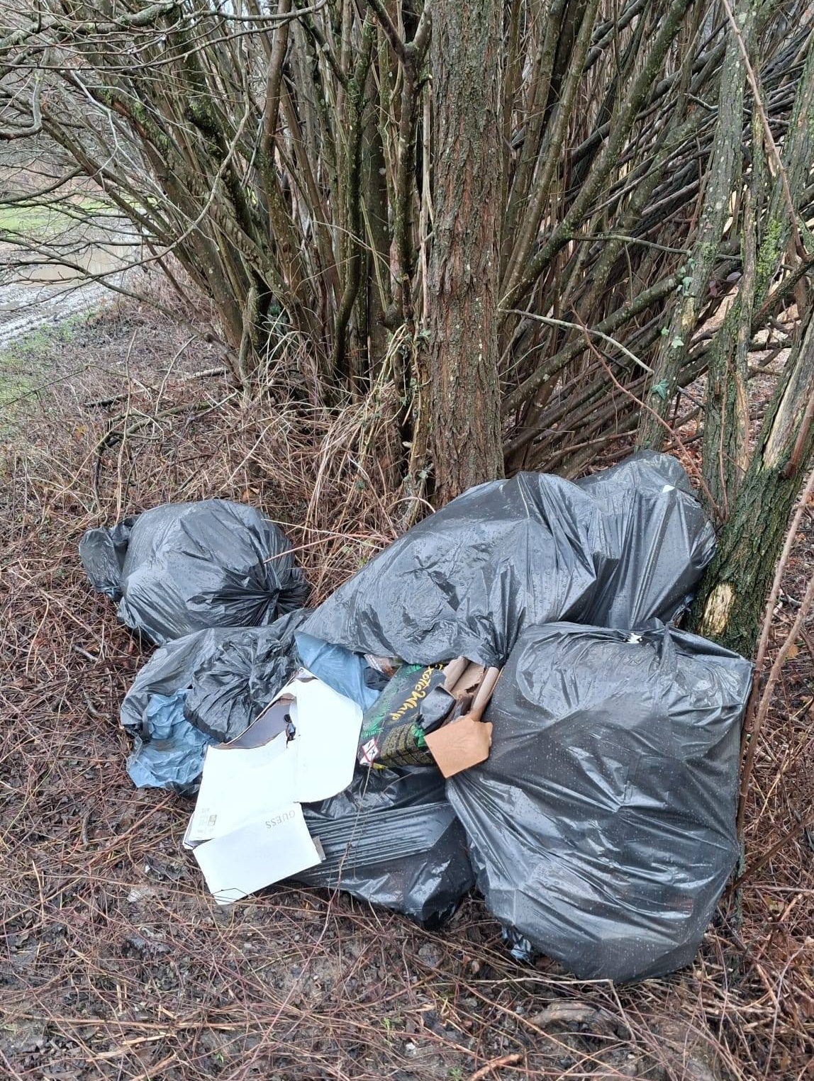 Airuno_gas_esilarante2.jpg (1.06 MB)