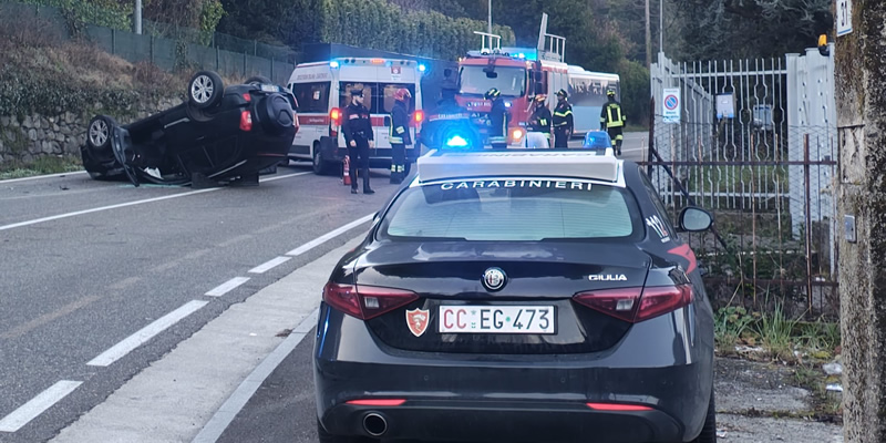 BarzInciRibPRIMA.jpg (153 KB)