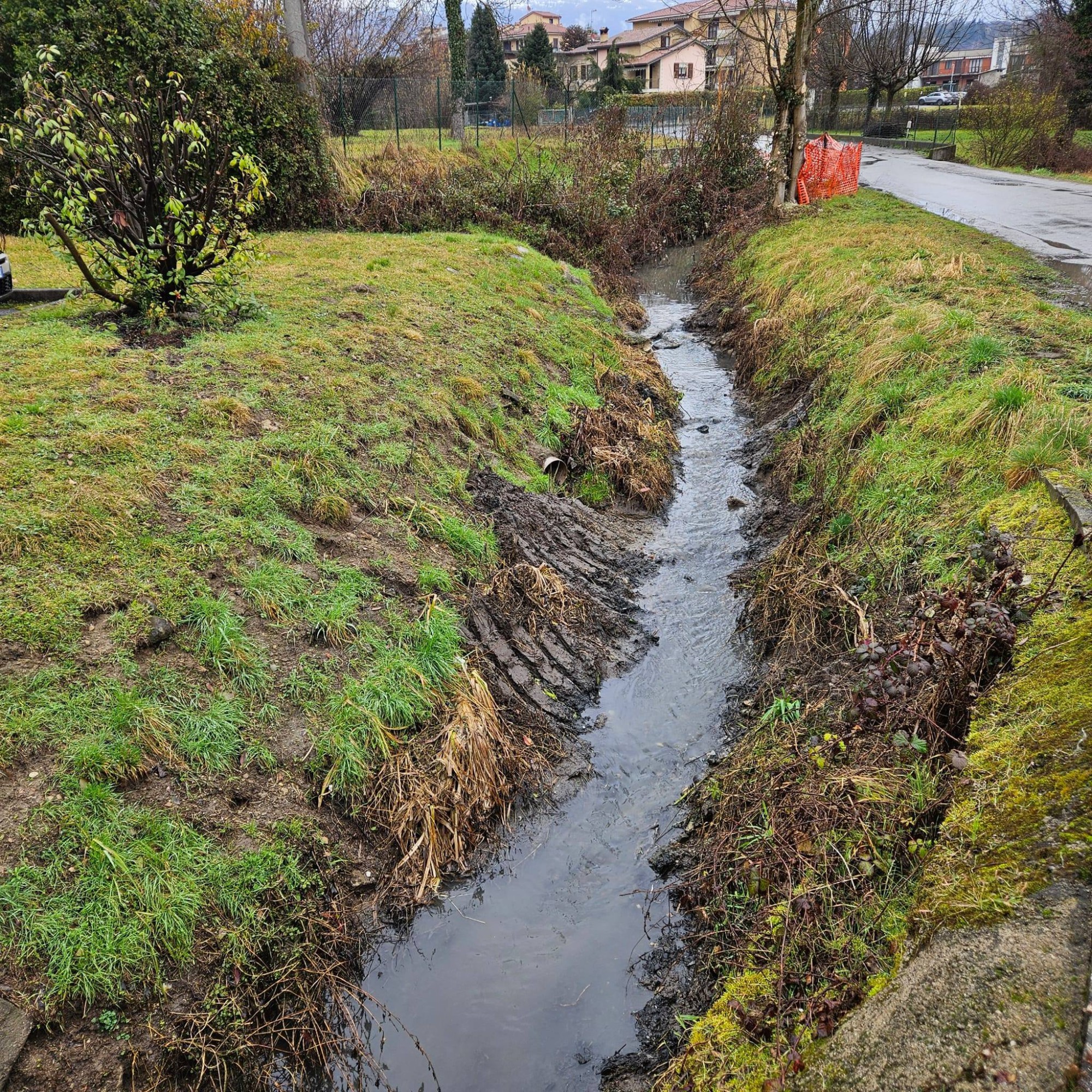 CalcoPuliziaCalendone2.jpg (1.69 MB)