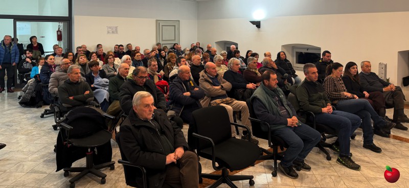 Cisano_assemblea_ponte1.jpg (84 KB)