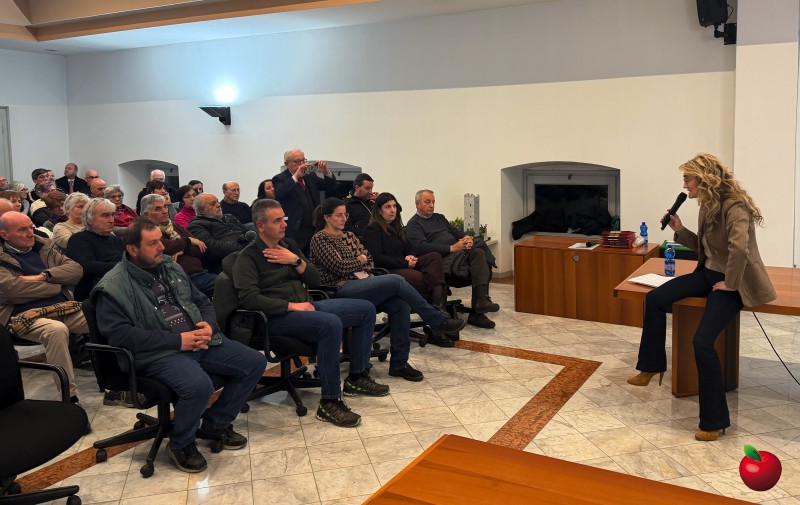 Cisano_assemblea_ponte3.jpg (97 KB)