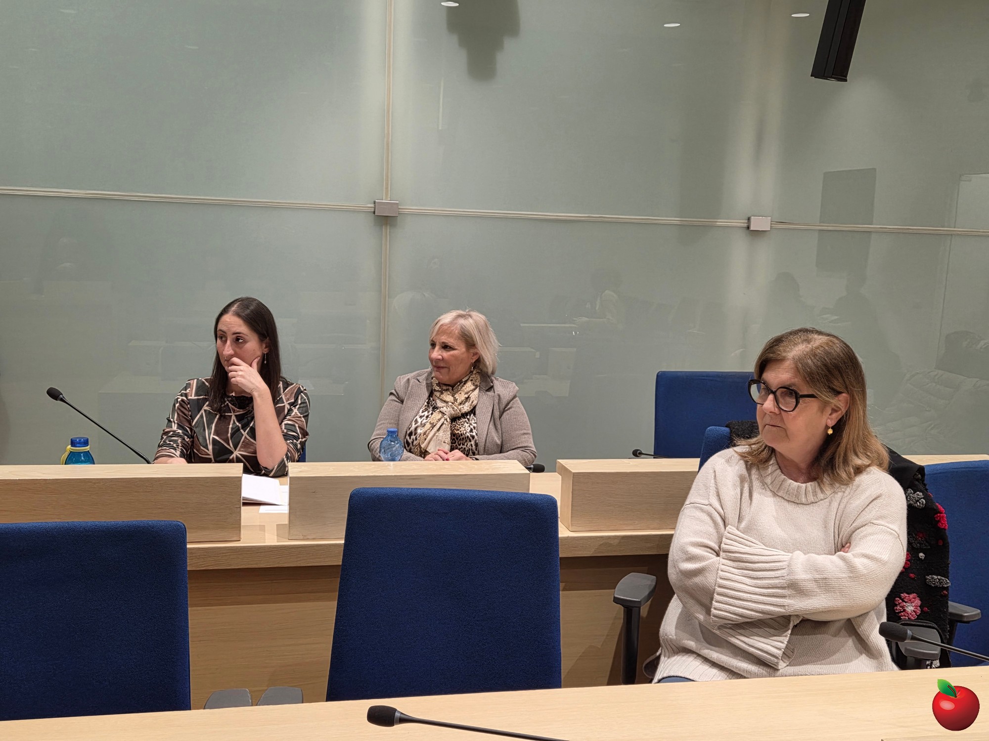 MerateCommissioneCongiunta_3.JPG (544 KB)