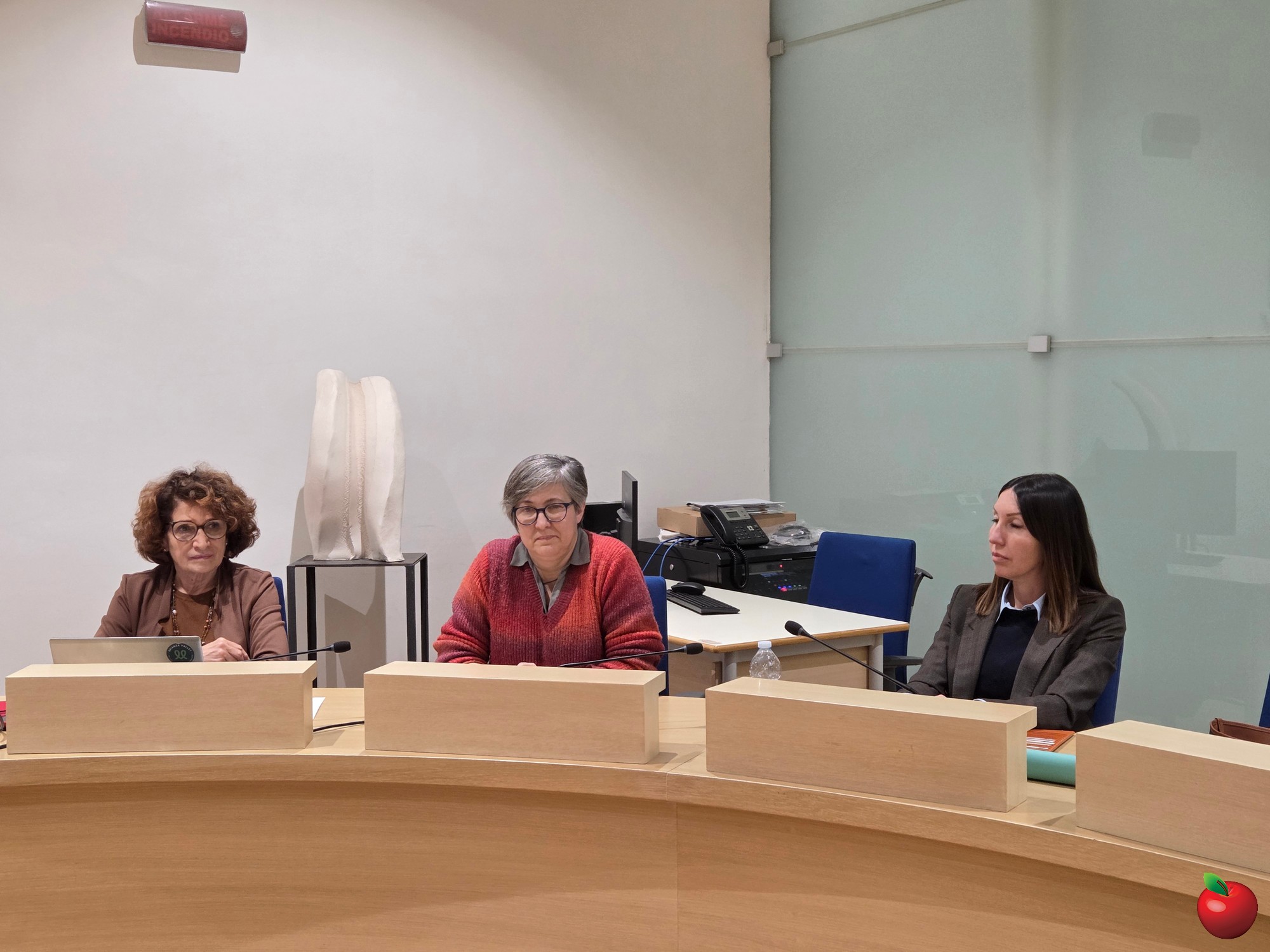 MerateCommissioneCongiunta_7.JPG (431 KB)