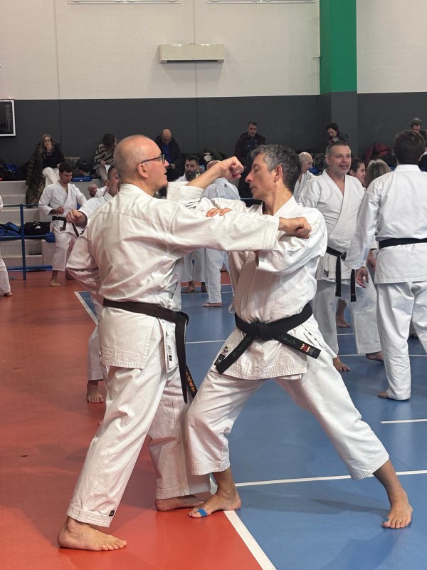 MerateKarateCalcio5.jpeg (107 KB)