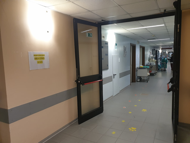 MeratePSRiquali.jpg (67 KB)