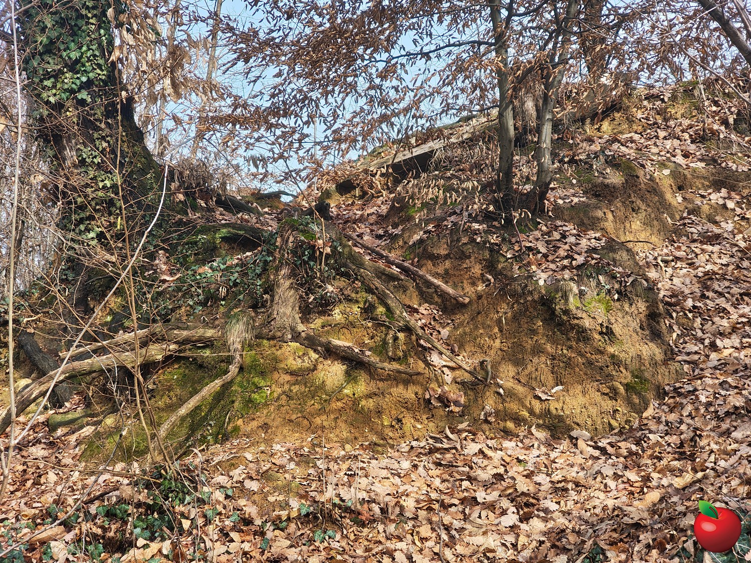 Mtv_aggiornamento_anfiteatro13.jpg (1.06 MB)