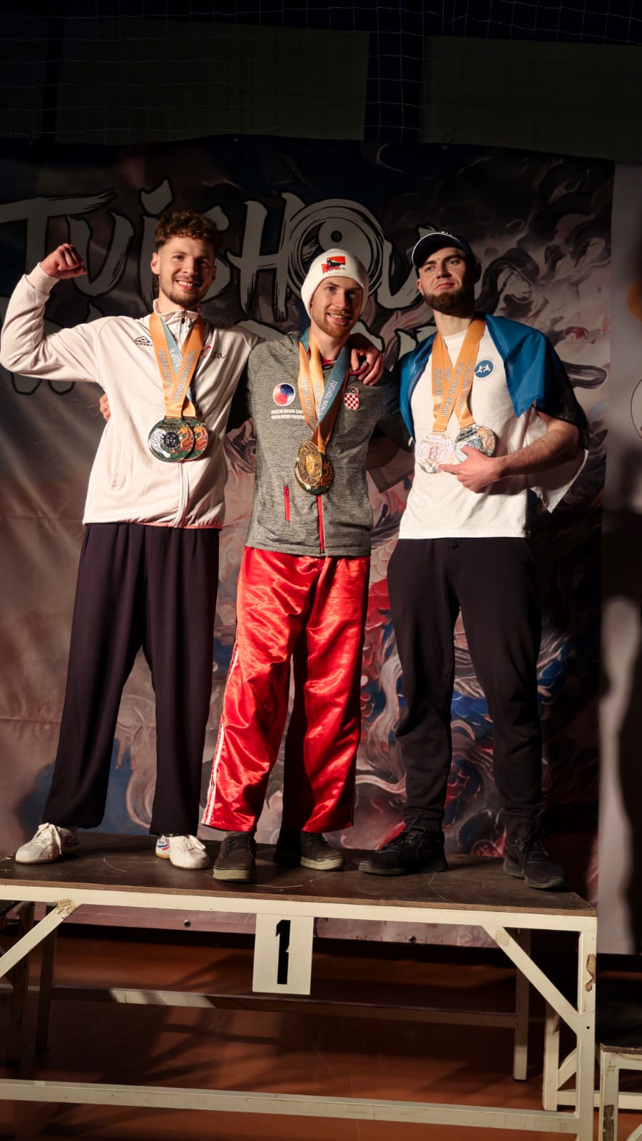 Tui_shou_world_Cup5.jpeg (154 KB)