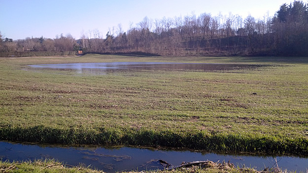 VallettaFotoIeri1.jpg (408 KB)