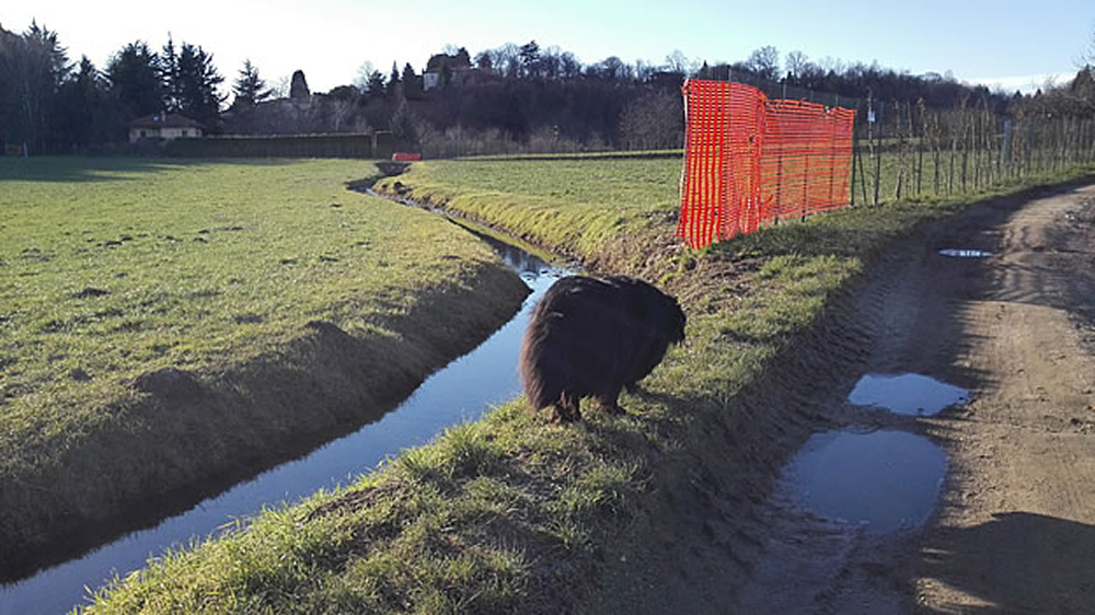 VallettaFotoIeri2.jpg (359 KB)