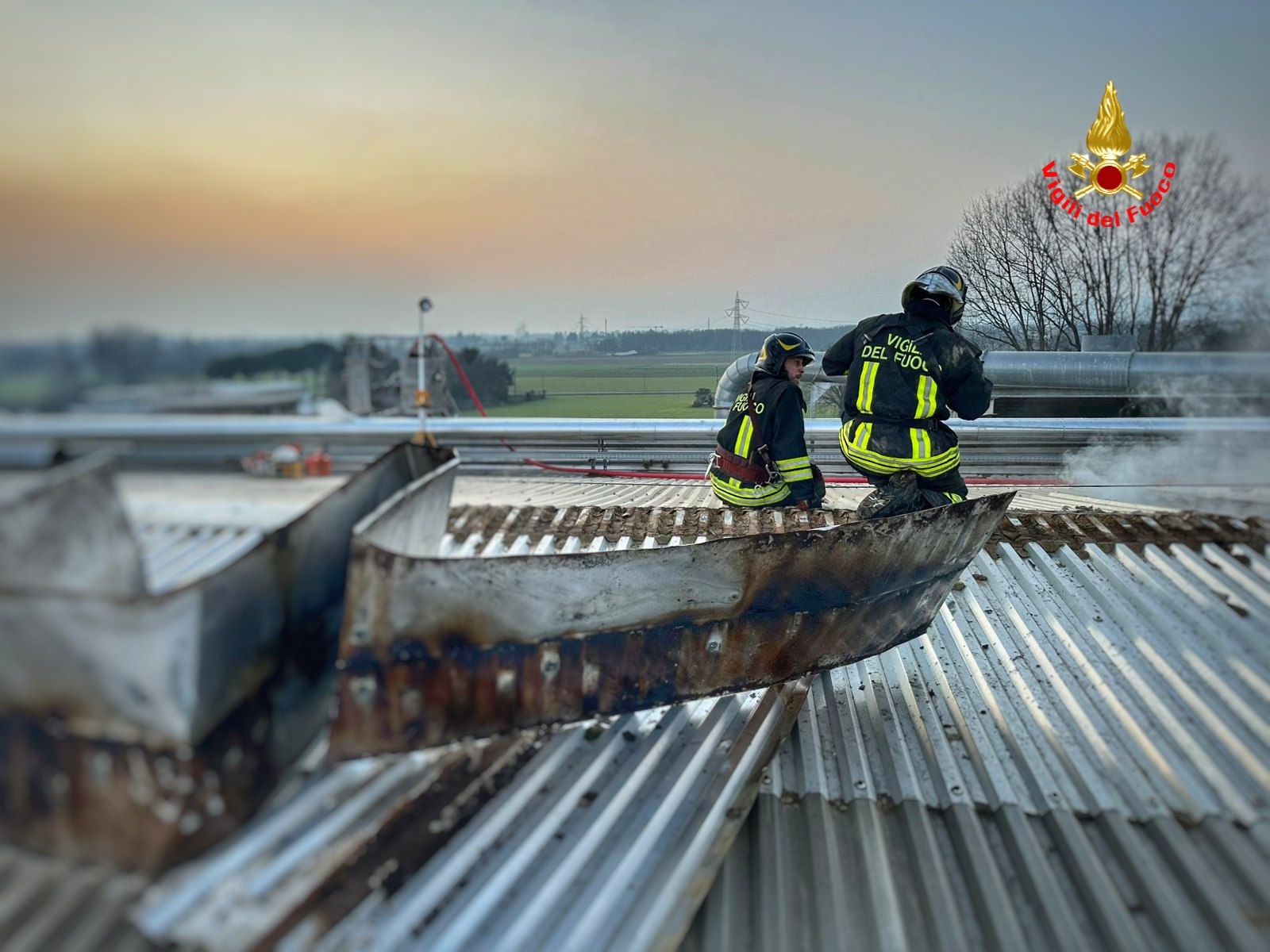 VerderioDelCurto2.jpg (243 KB)