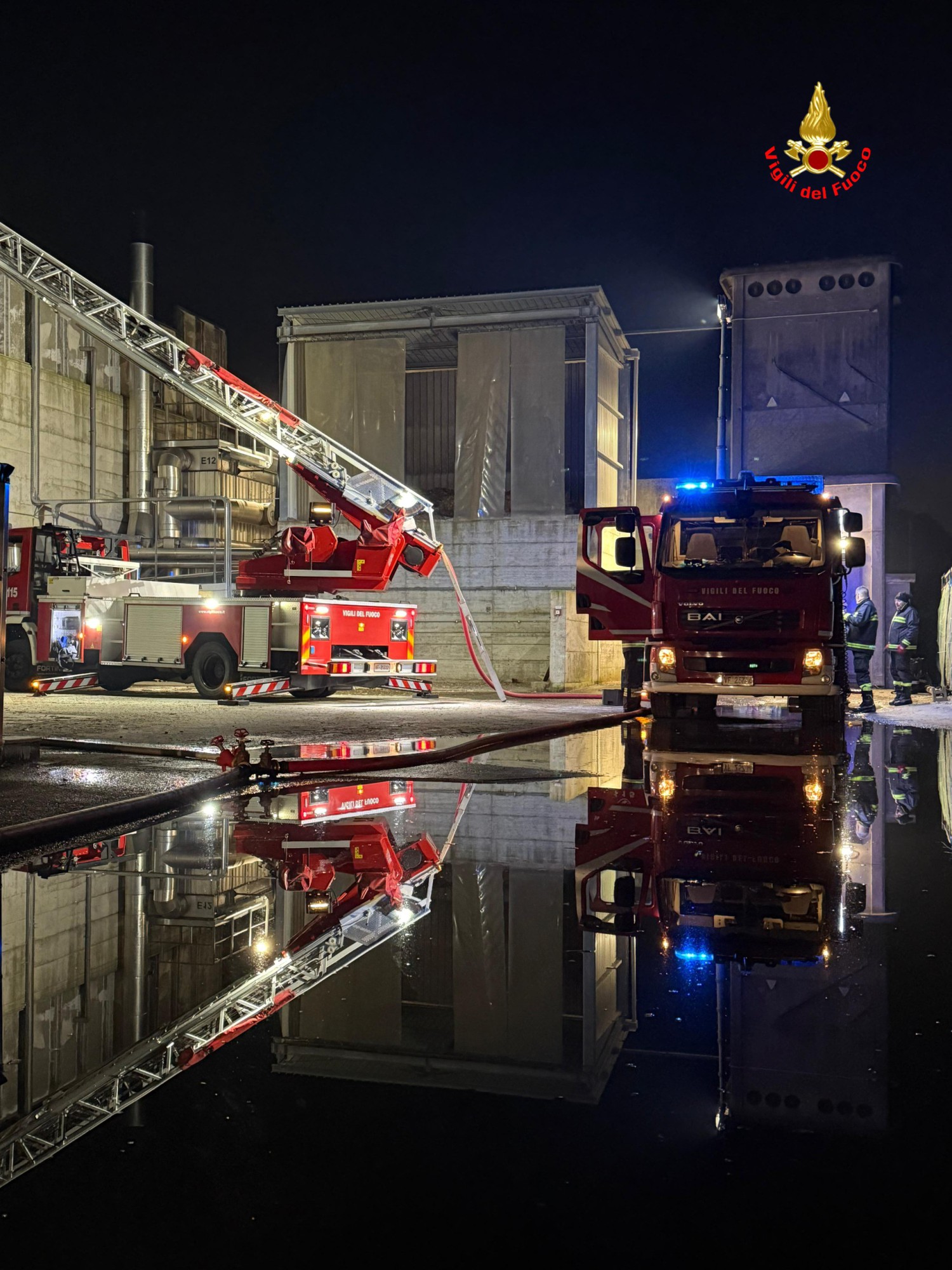 VerderioDelcurto1.jpg (532 KB)