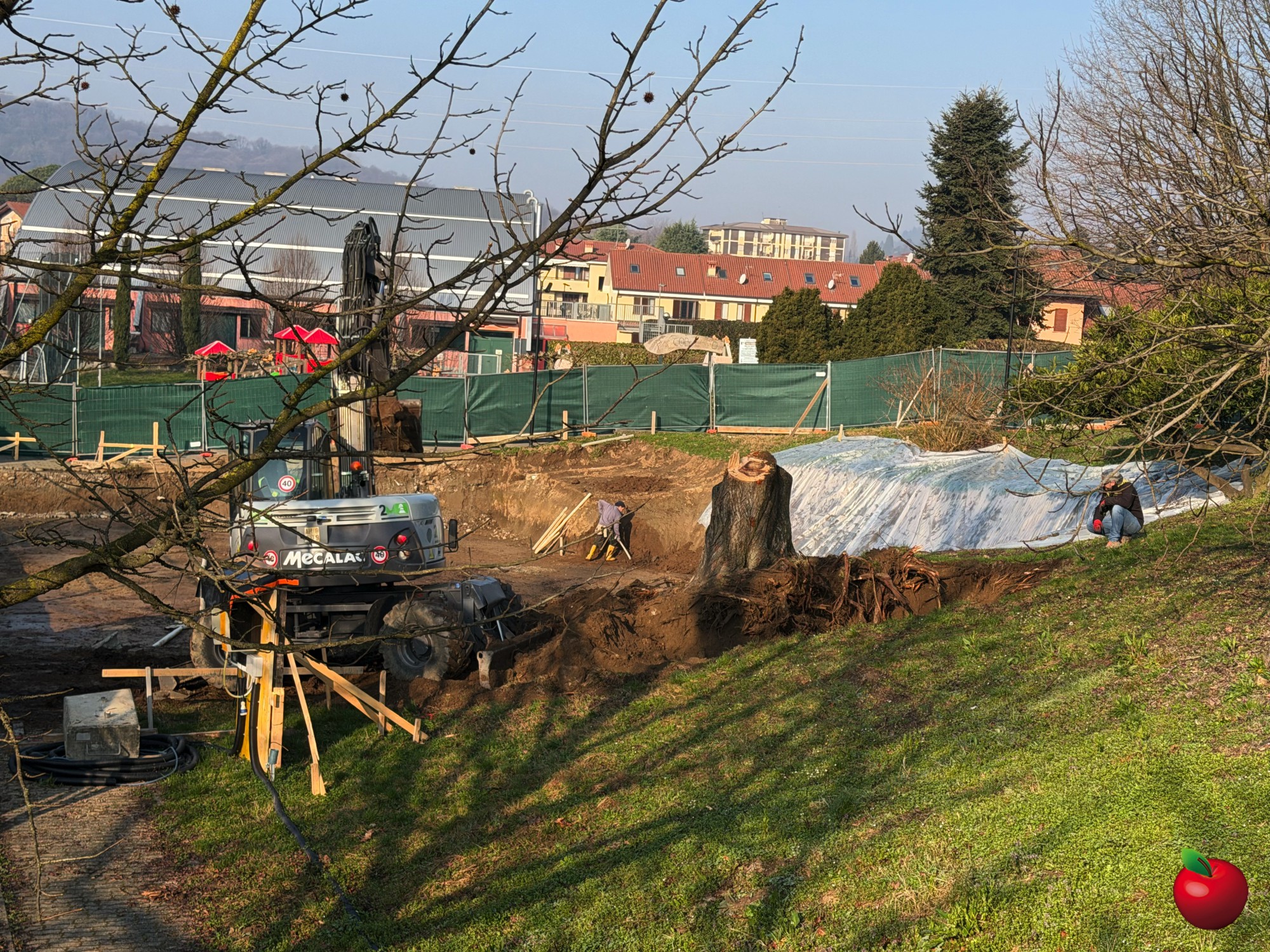 _Calco_Olmo_tagliato1.jpg (1.07 MB)