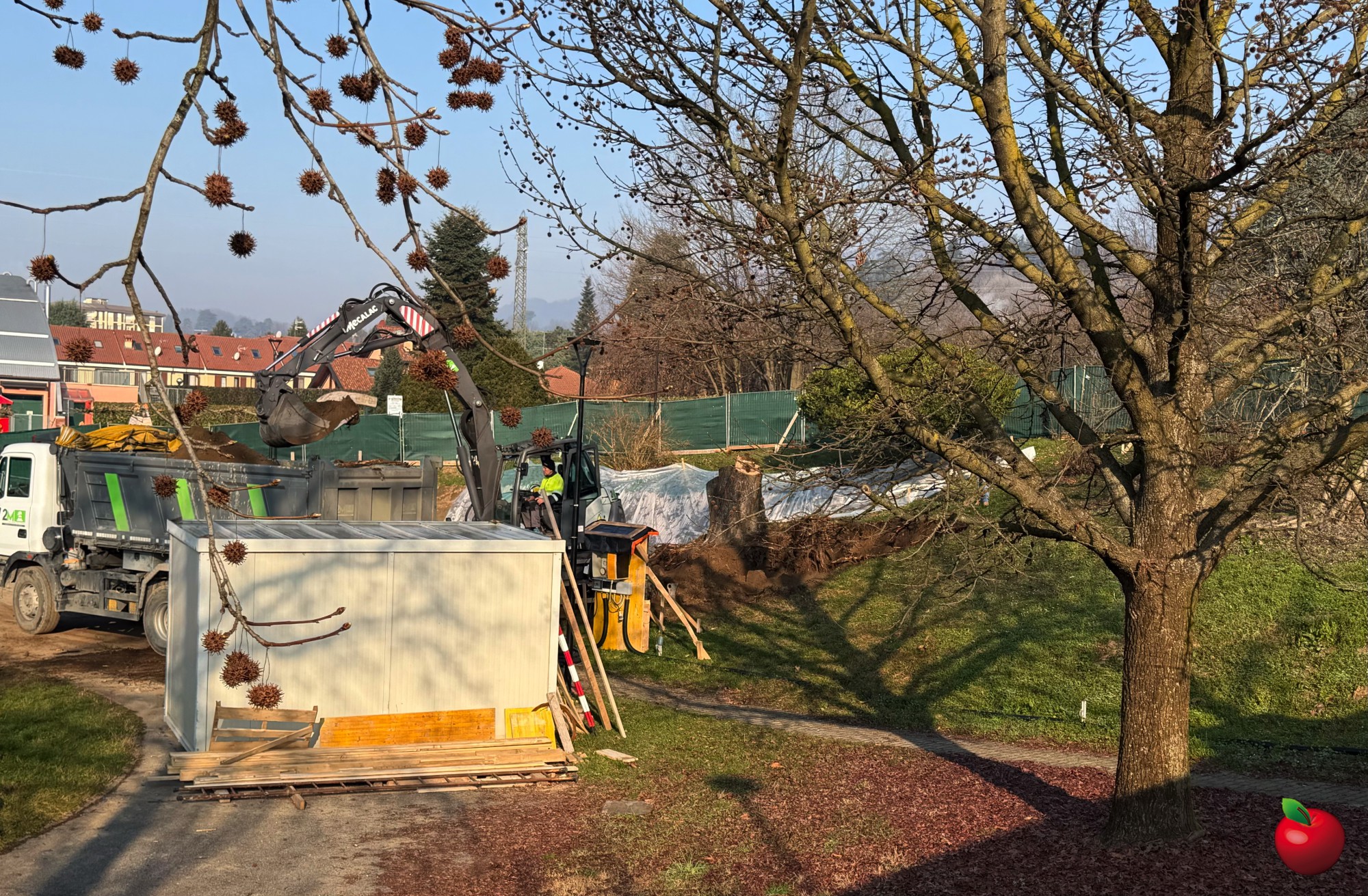 _Calco_Olmo_tagliato2.jpg (993 KB)