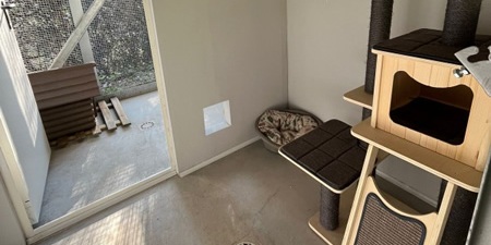 gattileprimaMOL.jpg (38 KB)