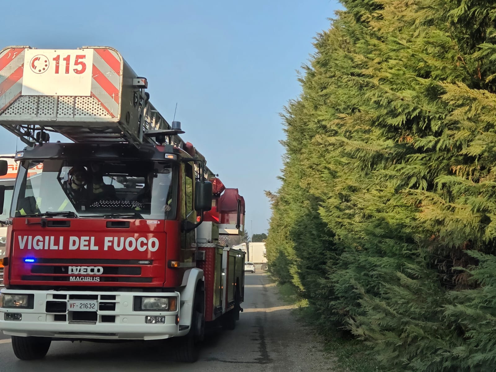 incendiodelcurto3.jpg (278 KB)