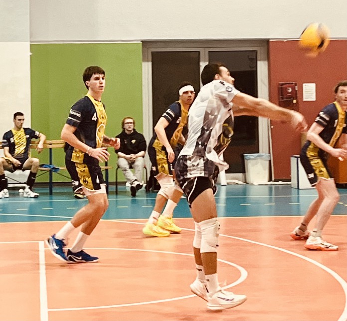 volley2m__2_.jpeg (269 KB)