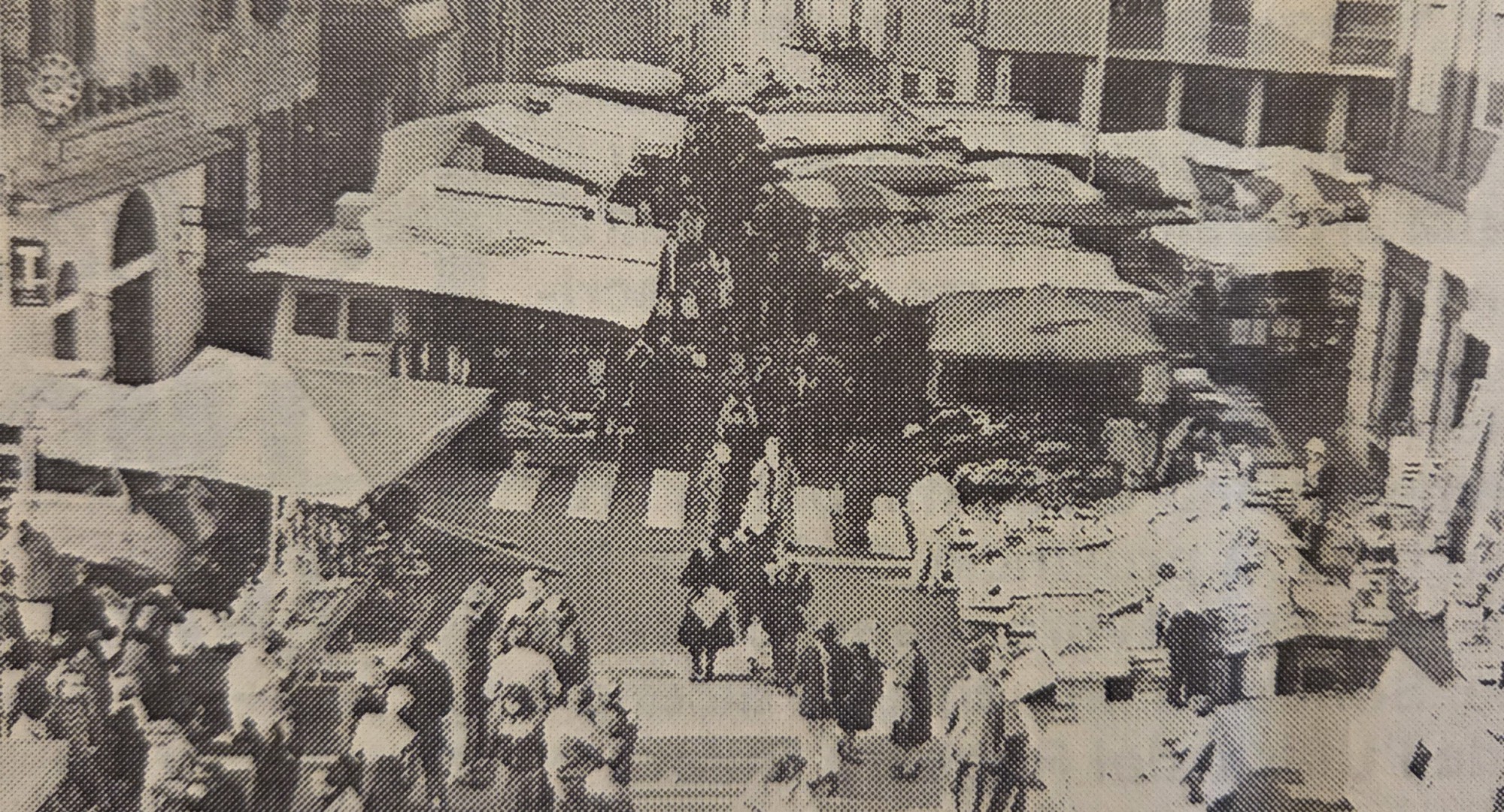 AccadevaMeseNovembre1.jpg (771 KB)