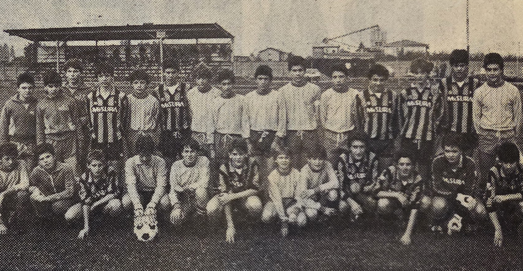 AccadevaMeseNovembre15.jpg (779 KB)