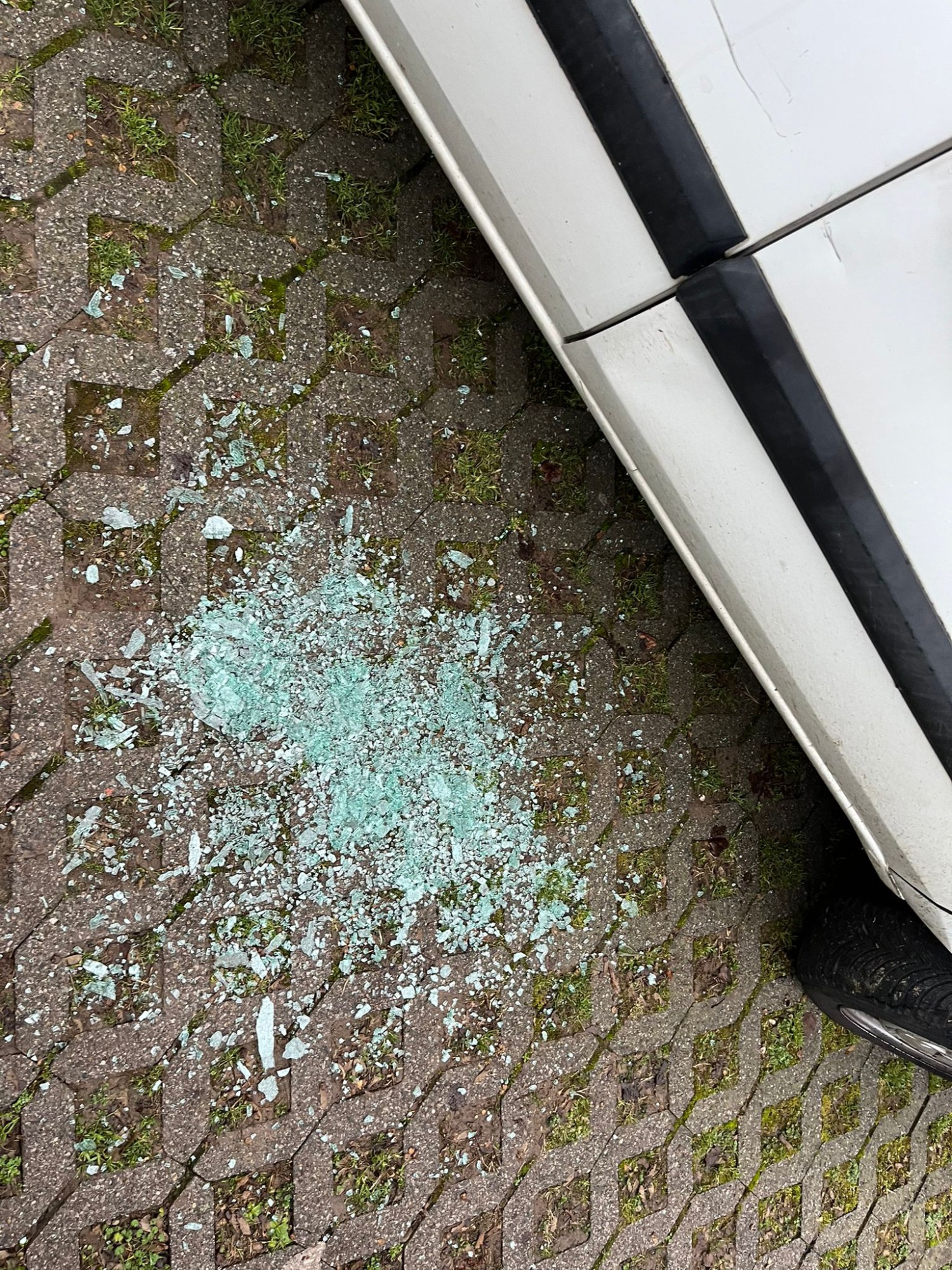 Brivio_auto_vandalizzate9.jpeg (1.01 MB)