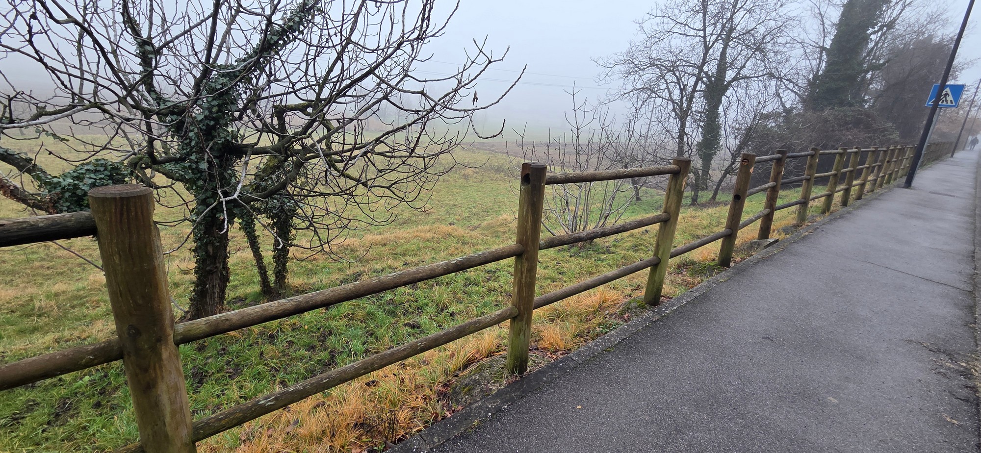 CassinaStaccionataRotta_2.JPG (818 KB)