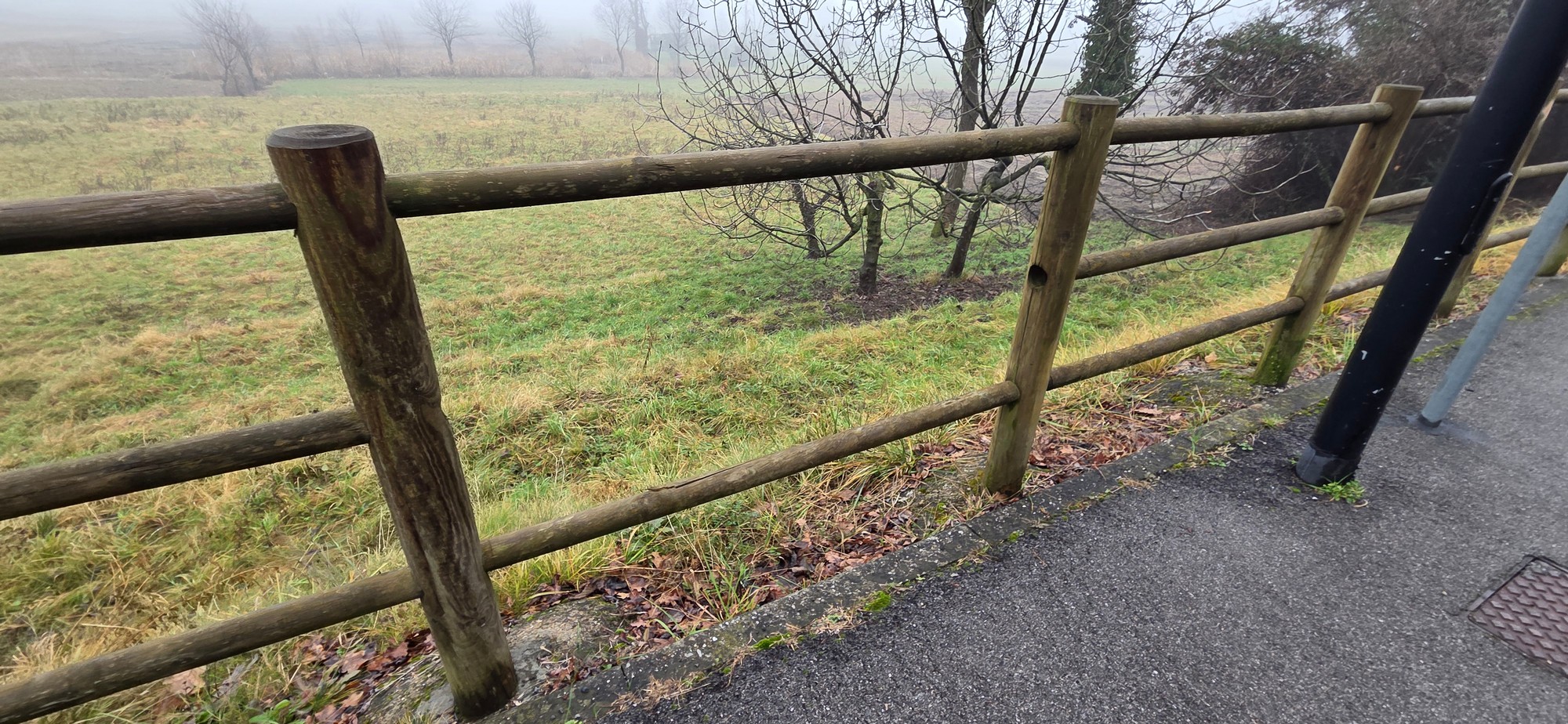 CassinaStaccionataRotta_3.JPG (777 KB)