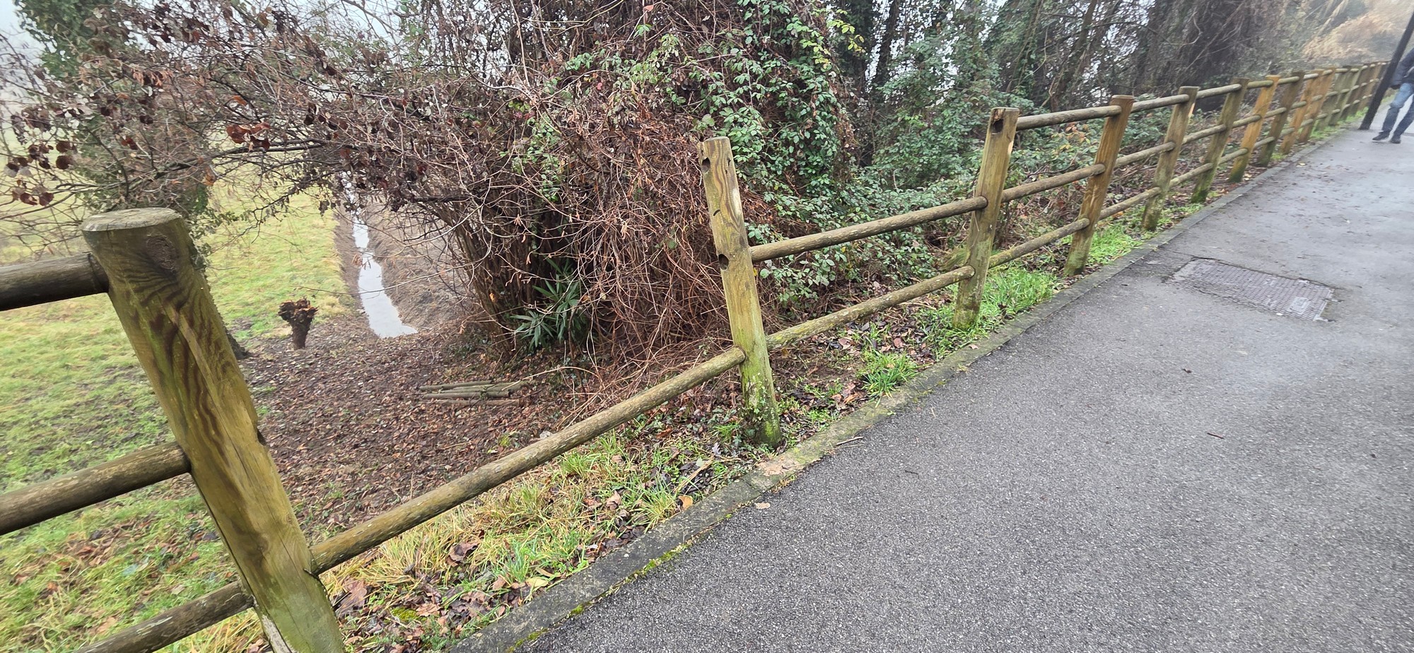 CassinaStaccionataRotta_5.JPG (941 KB)