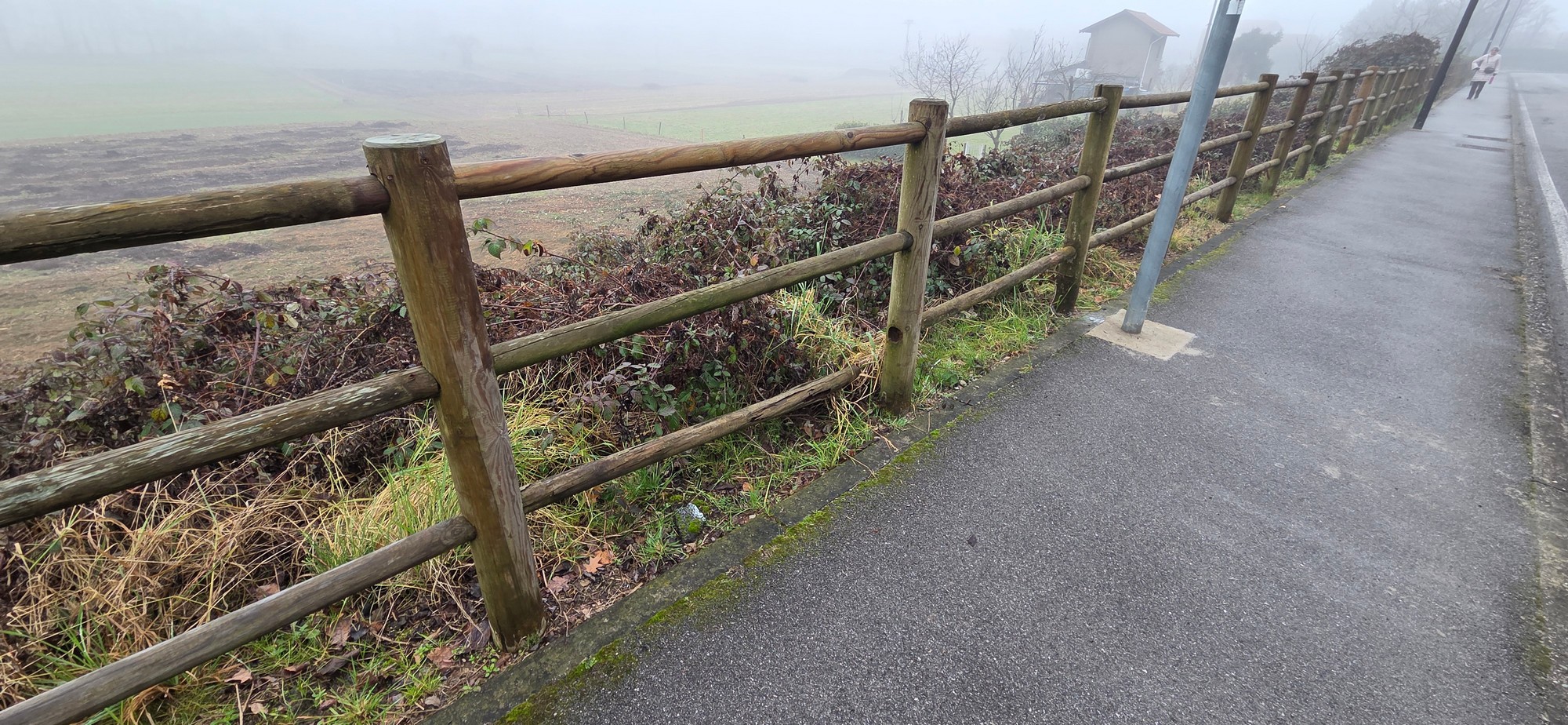 CassinaStaccionataRotta_6.JPG (778 KB)