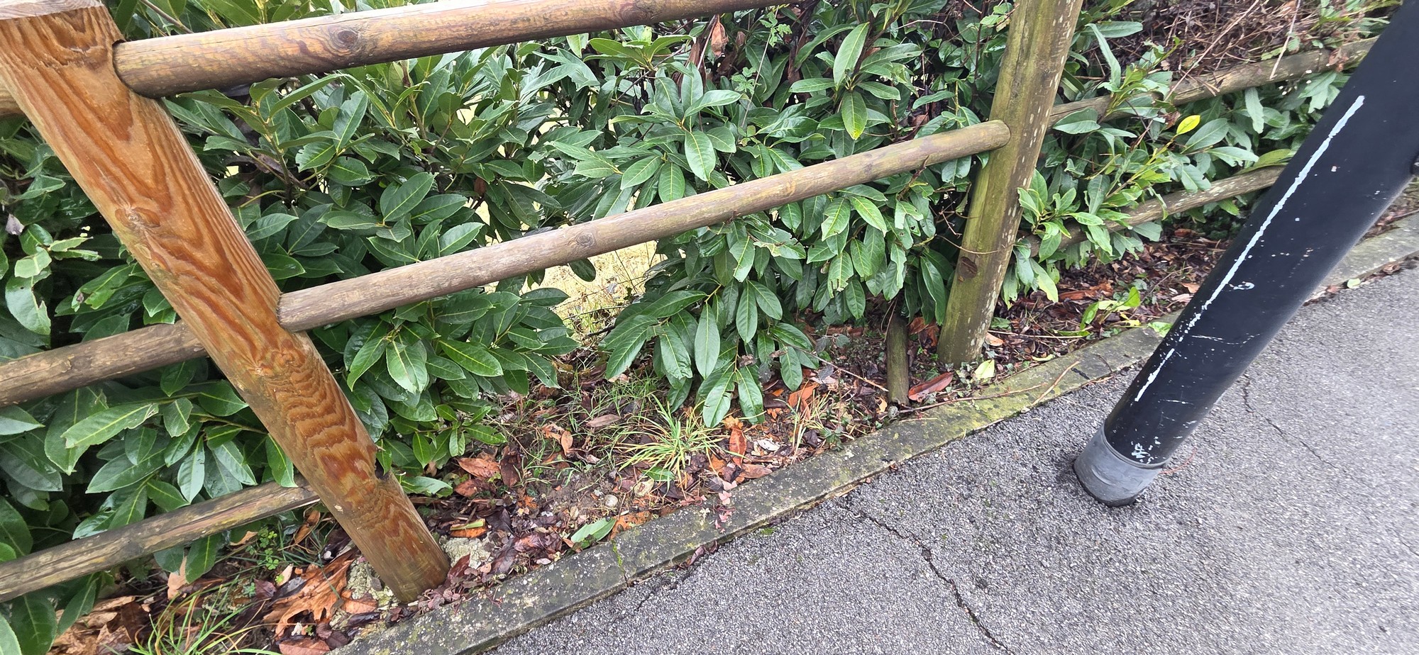 CassinaStaccionataRotta_7.JPG (911 KB)