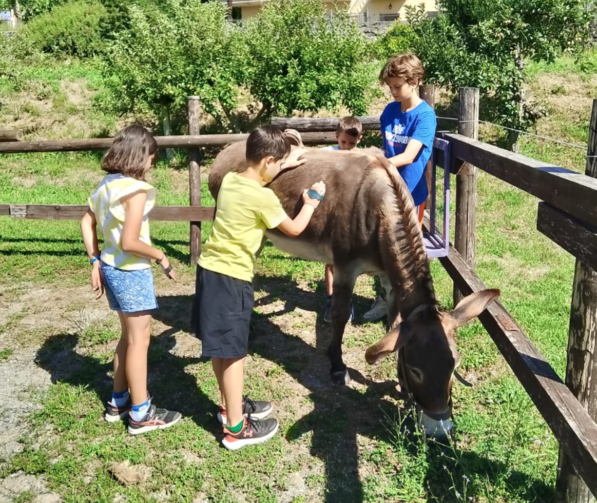 CdR_Young_-_4.JPG (470 KB)