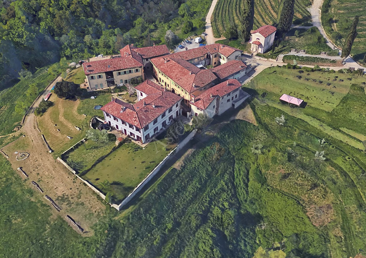 GalbuseraBiancaAste.jpg (549 KB)