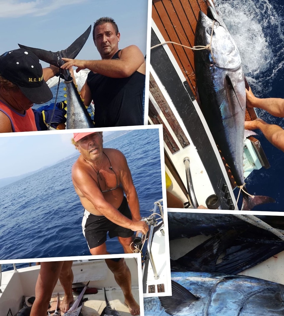 Italo_Sangalli2.jpeg (306 KB)