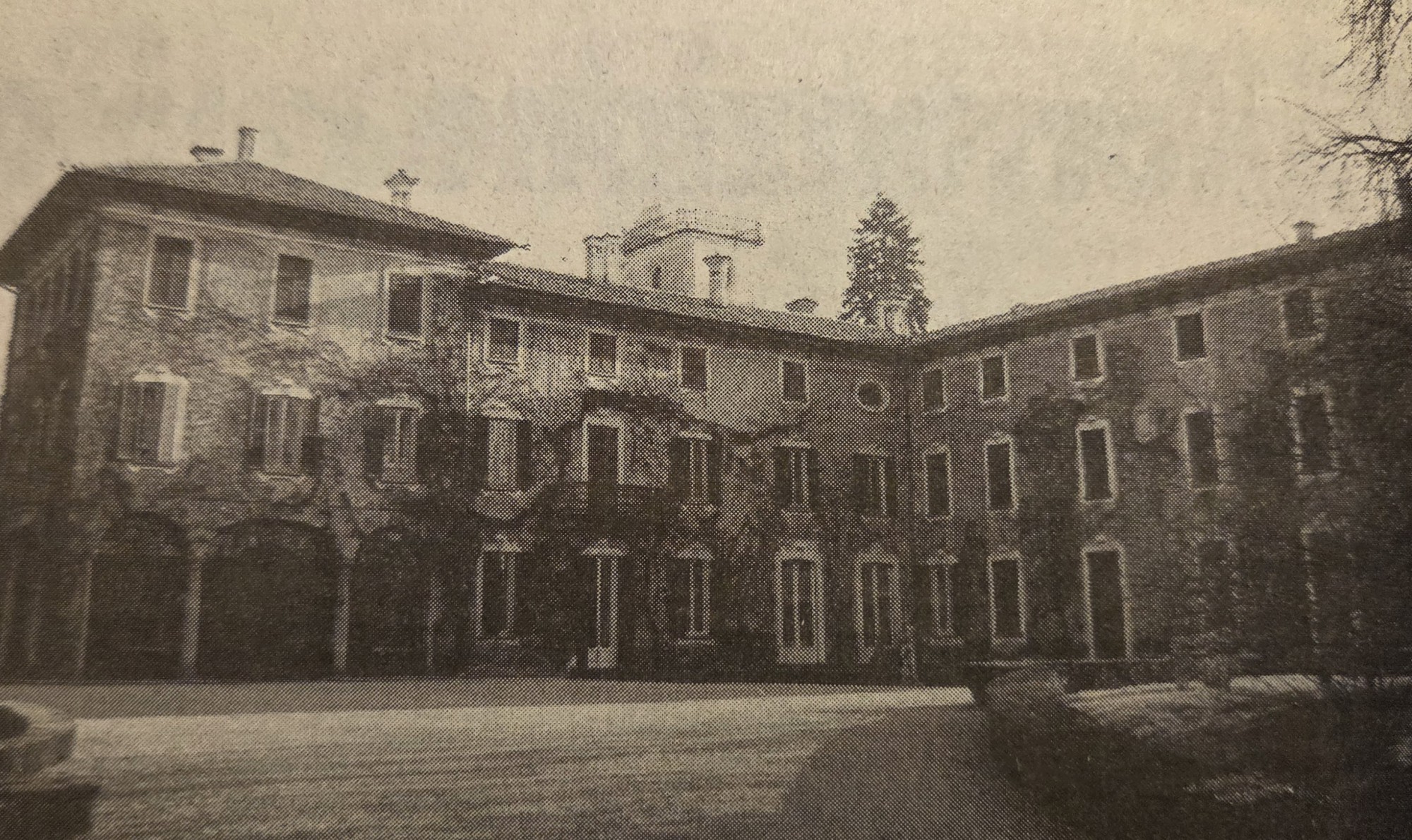 MerateAccadevaGennaio19.jpg (715 KB)