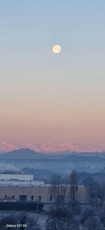 Meraviglia_besana.jpg (36 KB)