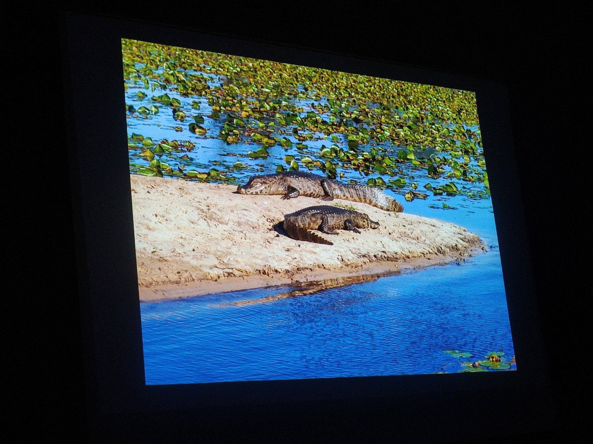 MontevecchiaAgrettiArgentina__7_.jpg (644 KB)