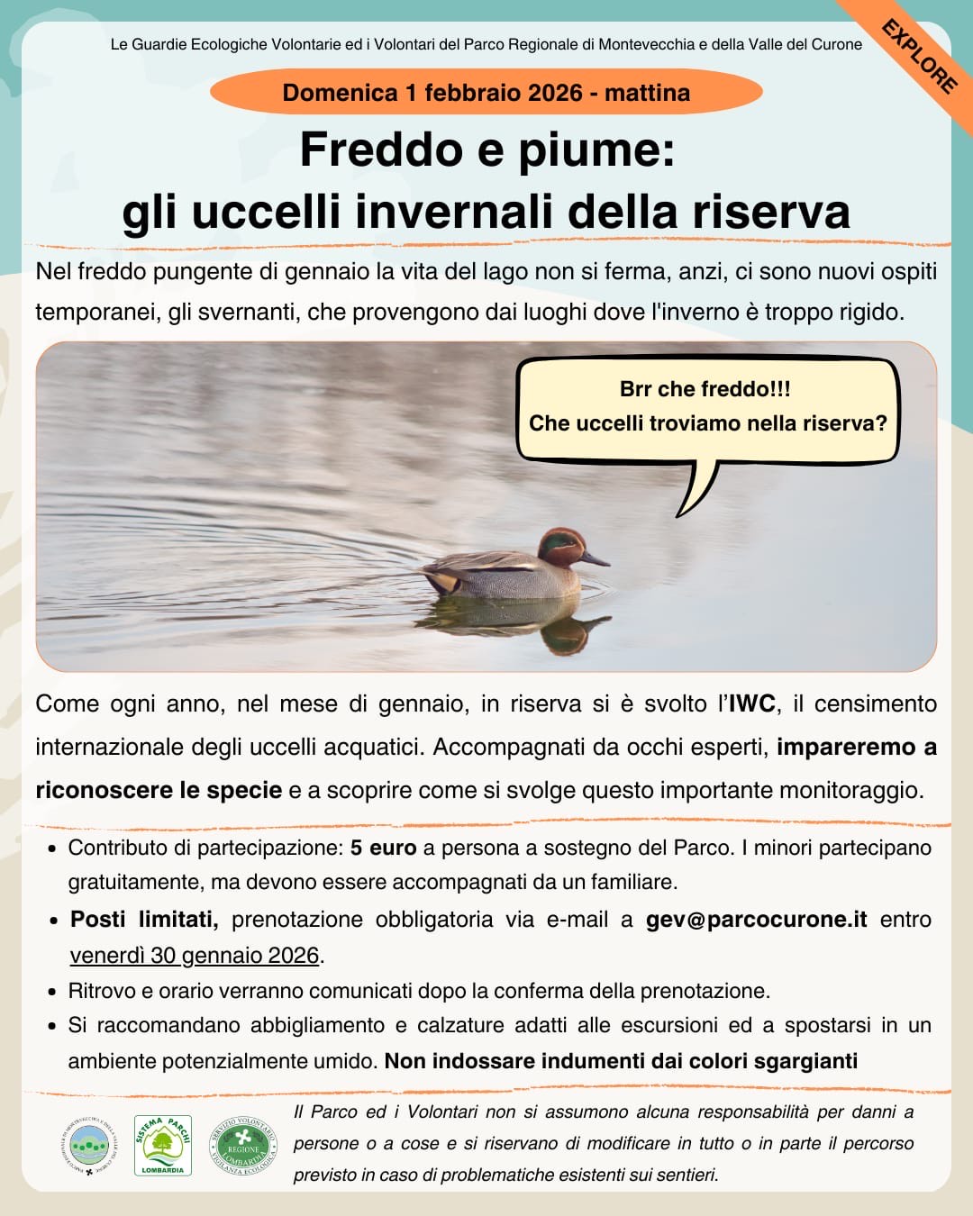 MontevecchiaFreddoPiume.jpeg (272 KB)