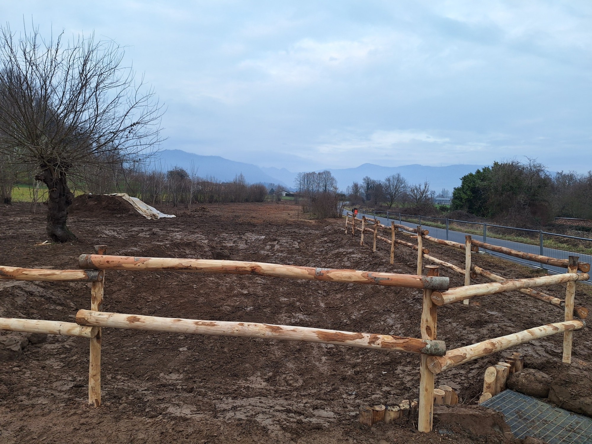 OlgiateAreaUmida1.jpg (800 KB)