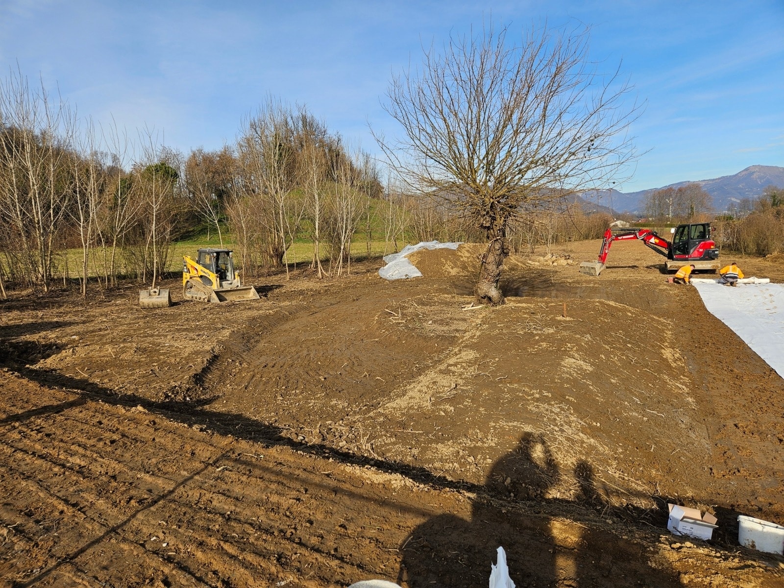 OlgiateAreaUmida3.jpg (725 KB)