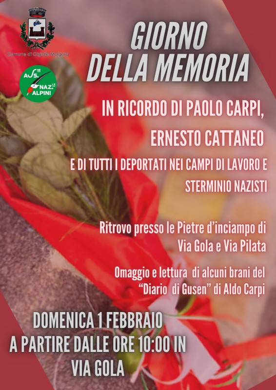 Olgiate_giornata_memoria.jpeg (110 KB)