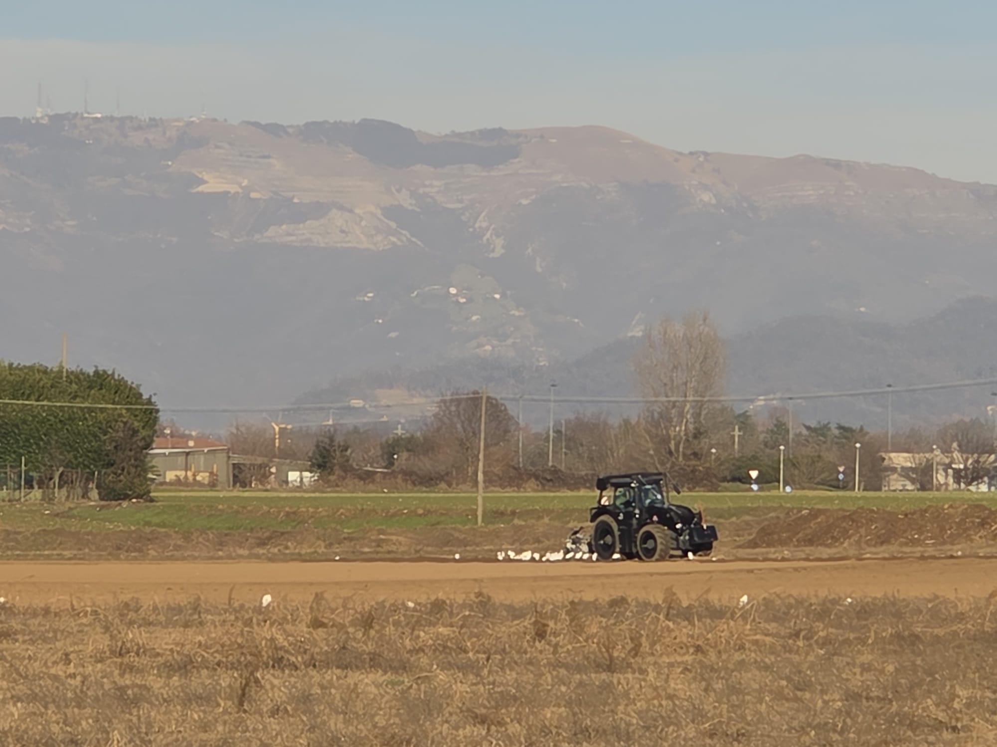 OsnagoVolatiliCampo1.jpg (178 KB)