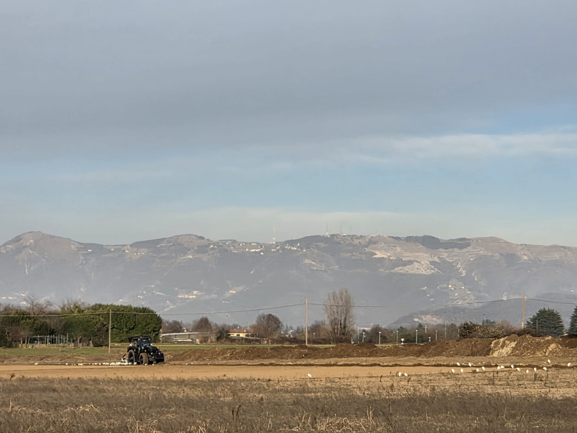 OsnagoVolatiliCampo2.jpg (190 KB)