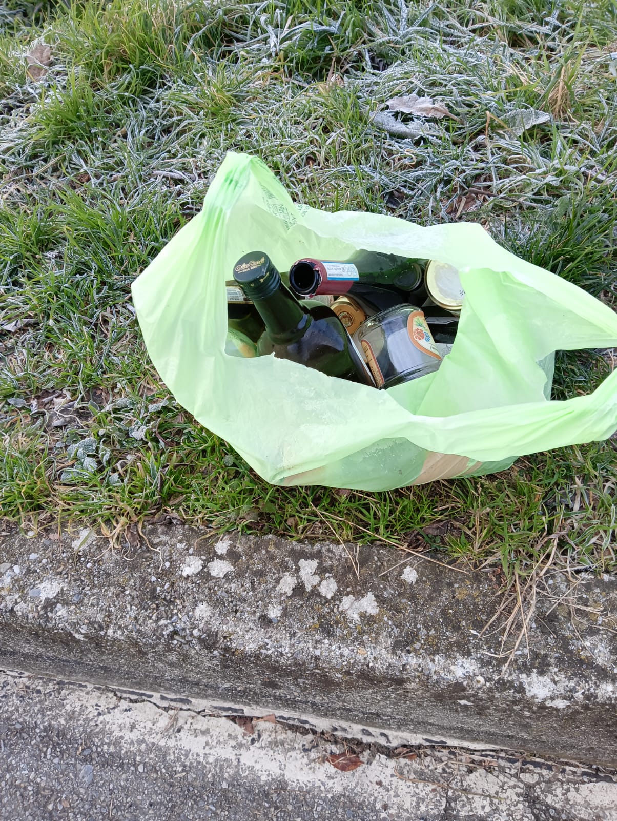 PagnanoRifiutiAbbandonati__2_.jpg (498 KB)