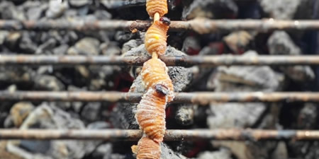 ViaggiatoriLarvePRIMA.jpg (30 KB)