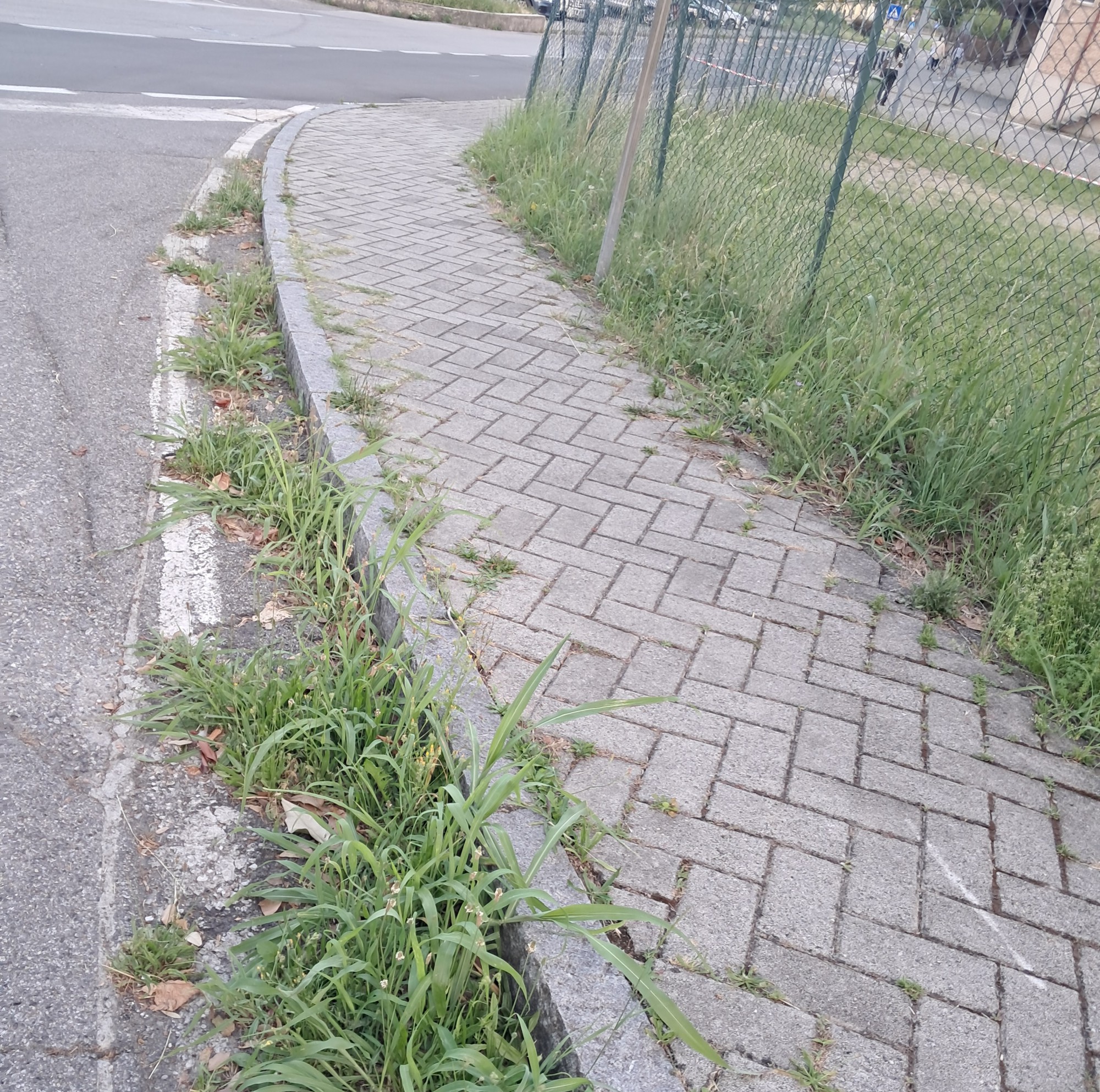 Airuno_appello_minoranza1.jpg (1.17 MB)