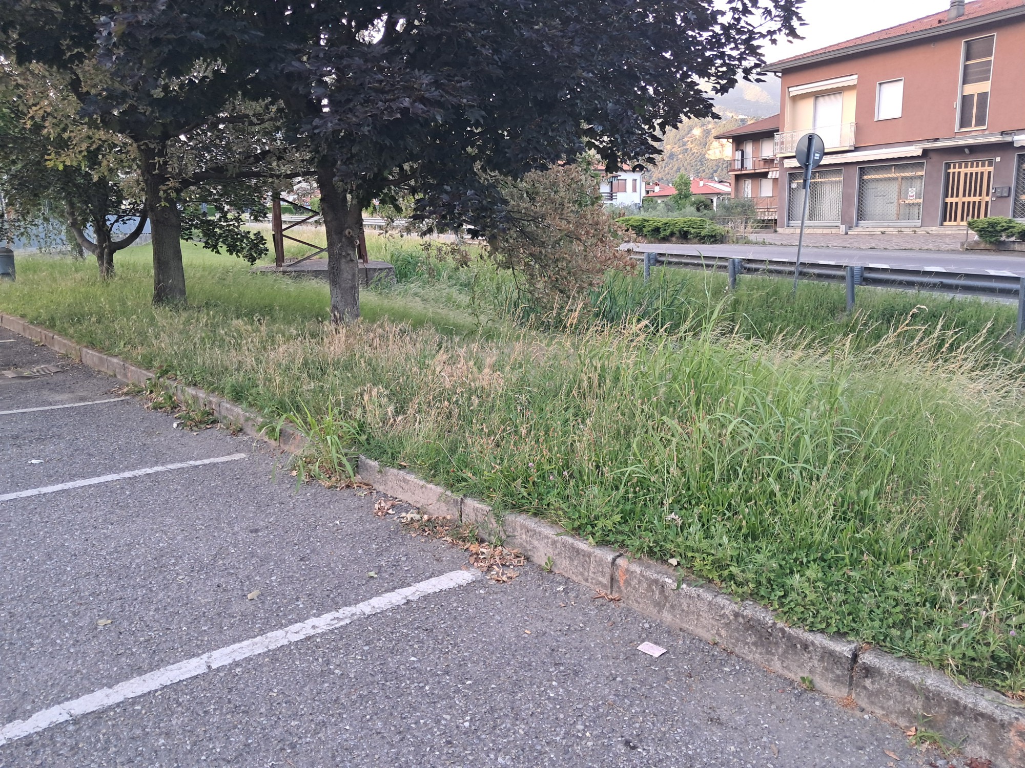 Airuno_appello_minoranza2.jpg (1.07 MB)